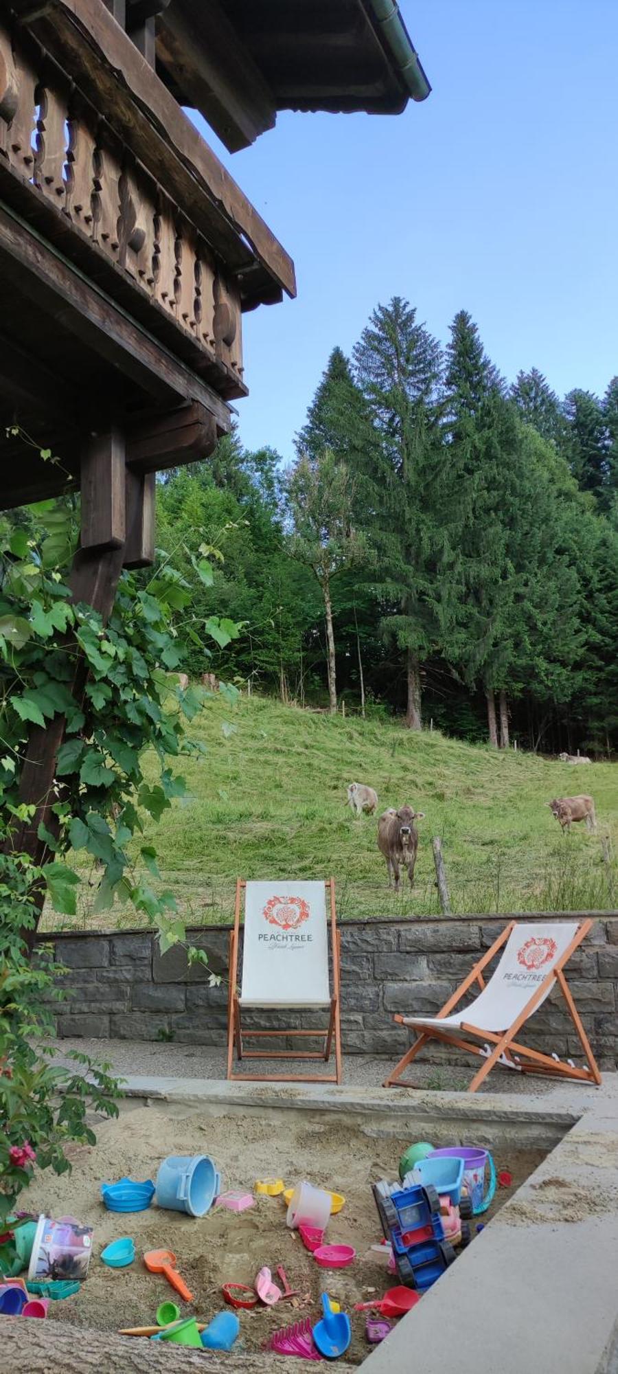 Am Berg * Oberstaufen